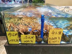 -老伙记海鲜码头(北滘店)