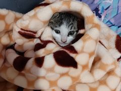 -小八仙·宴(三峡茶庄店)