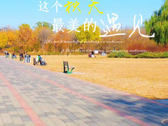 -朝阳公园