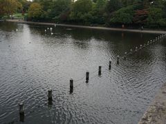 -海德公园