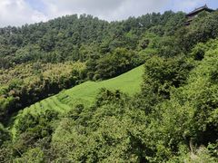 -敬亭山风景名胜区