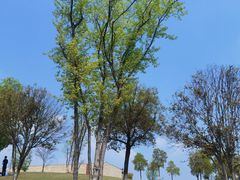 -盘龙城国家考古遗址公园