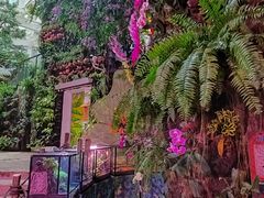 -正佳雨林生态植物园