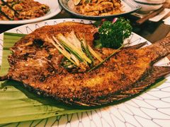 香茅草烤罗非鱼-紫滇源云南生态菜(丹凤街店)