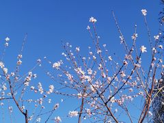 -赤峰红山公园