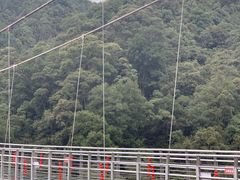 -九龙江国家森林公园