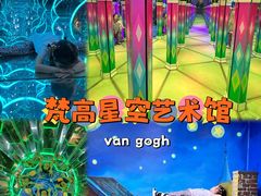 -梵高星空艺术馆(北京旗舰店)