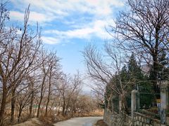 -鹫峰国家森林公园