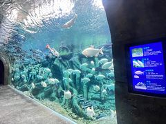 -波塞冬海底世界