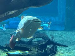 -华夏文旅海洋公园