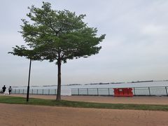 -珍宝海鲜(东海岸海鲜中心)