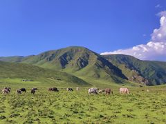 -兰州吐鲁沟国家森林公园