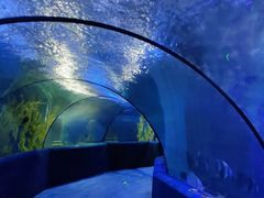 -梦幻海洋王国(吾悦广场张家港店)