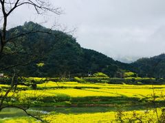 -新安江山水画廊风景区