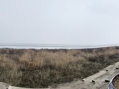 -合肥滨湖国家森林公园