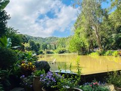 -深圳仙湖植物园