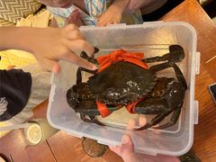 -亚特兰蒂斯·蟹餐厅 CRAB KITCHEN·鲜活海鲜