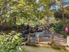 -成都市活水公园