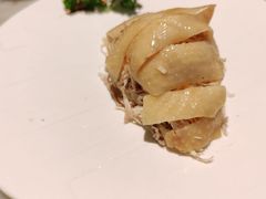 -蝶园·装修中(BFC外滩金融中心店)