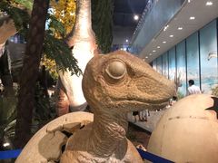 -湖南省地质博物馆