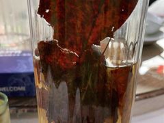 -港升鱼师傅·中山脆肉鲩