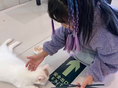 -平行世界·猫咖(首经贸店)