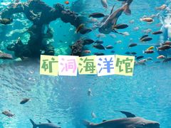 -长鹿旅游休博园