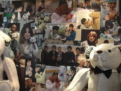 -济州岛泰迪熊博物馆