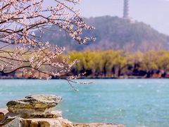 -颐和园
