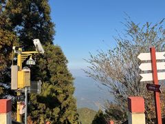 -江西阳明山国家森林公园