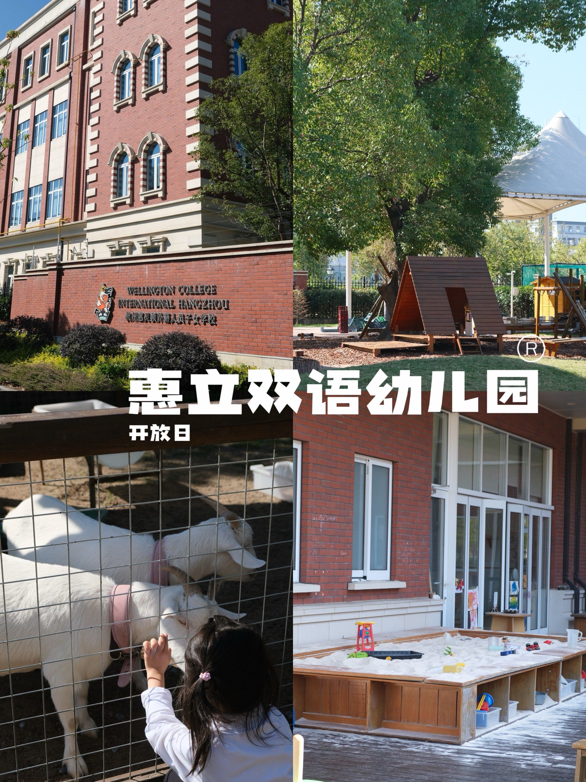 大十一终于要开启她的幼儿园生活了