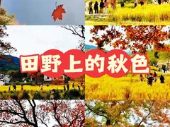 -塔川景区