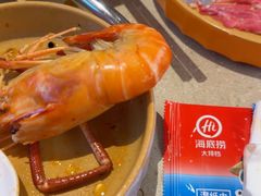 -海底捞大排档火锅(打浦路店)