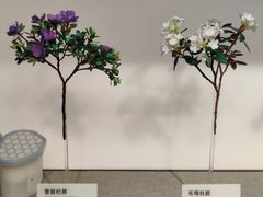 -四川大学博物馆