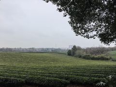 -敬亭山风景名胜区