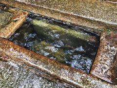 -白沙古井