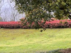 -雅和生态渔庄·宜城锅巴饭(龙灵山公园店)