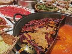 -朱光玉火锅馆(正弘城店)