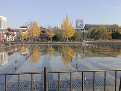 -大雁塔北广场音乐喷泉
