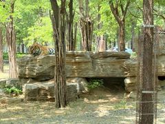 -秦皇岛野生动物园