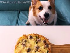 -百好乐宠物友好餐厅(朝外大街店)