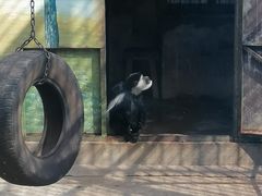 -昆明动物园