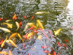 环境-白家大院·王府宫廷菜(苏州街店)