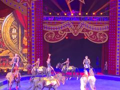 -珠海横琴长隆《卡卡虎奇遇记》