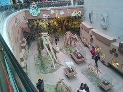 -陕西自然博物馆