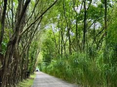 -东南花都花博园