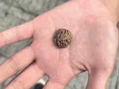 -白水寺森林公园