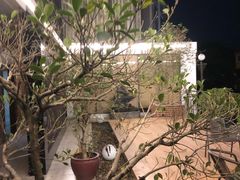 -锡才大羽羽毛球馆(深港花卉店)