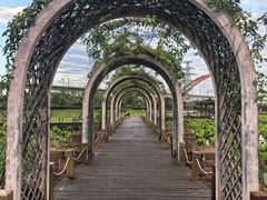 -那考河湿地公园