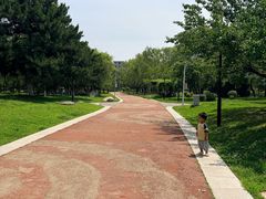-莫子山公园